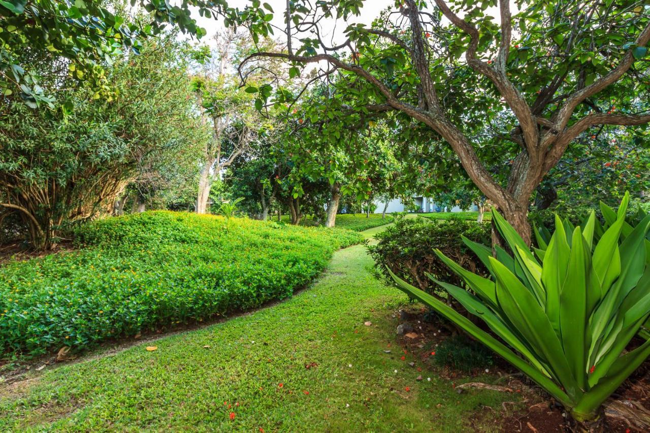 Modern, Romantic Vibes In The Tropics Kahuku Exterior foto
